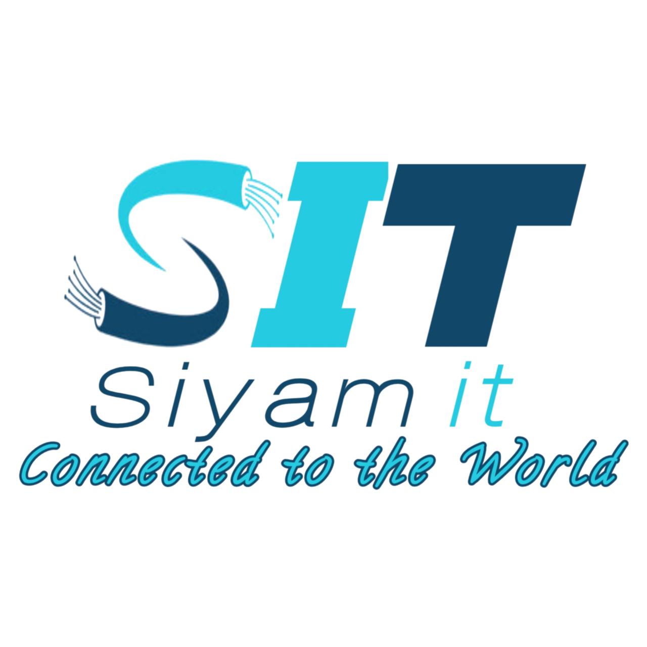 S IT-logo